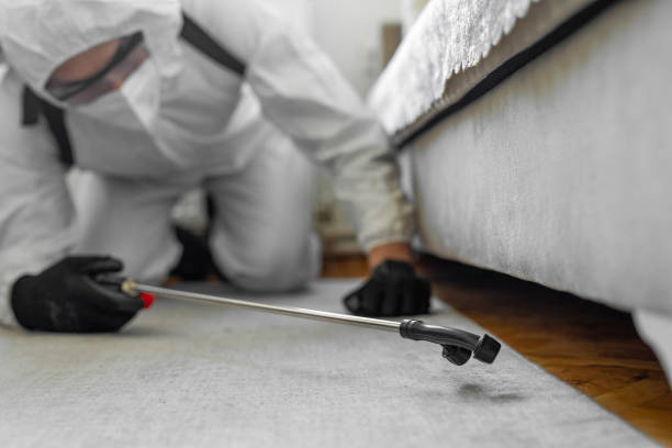 Professional Bed Bug Control technician working in New City, NY