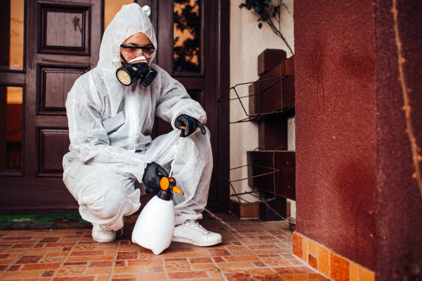 Reliable Bed Bug Control contractor in New City, NY by Nex Pest Control