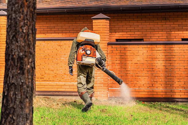 Trusted Termite Control service in New City, NY - Nex Pest Control
